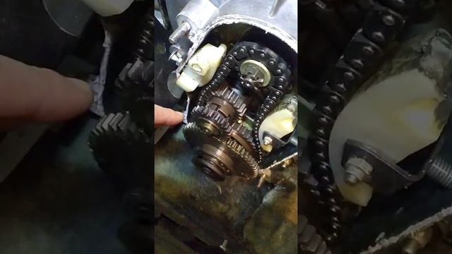 Пропала задняя передача на снегоходе рысь смотреть онлайн