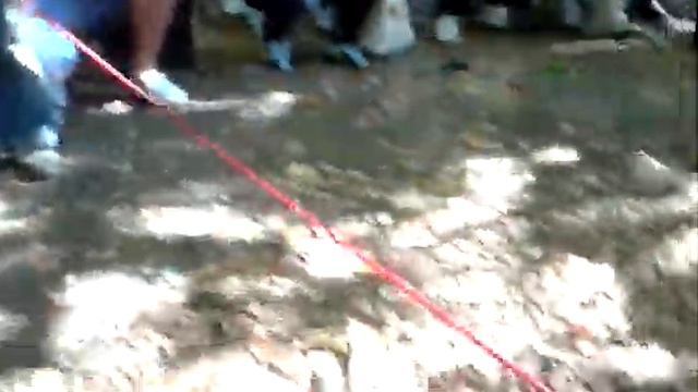 Бесстрашная такса Джесси атакует!!! смотреть онлайн
