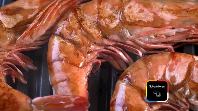 Tefal OptiGrill Elite GC750D - Varieer oneindig dankzij 12 automatische programma's смотреть онлайн