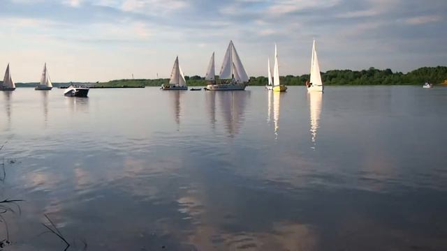 День семьи, любви и верности в Муроме / Day of family, love and loyalty in Murom смотреть онлайн