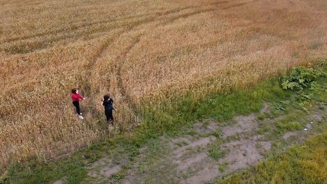 Великий Новгород - аэросъёмка смотреть онлайн