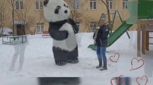 ростовая кукла панда.       9290830 звони, заказывай https://vk.com/pandanaprazdnik