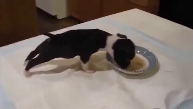 День 4. "РЕЖИМЫ" ЧЕЛОВЕКА смотреть онлайн