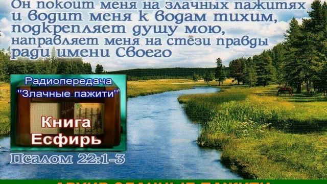 Архив Злачные пажити 002 Книга Есфирь Шахов Василий Васильевич смотреть онлайн