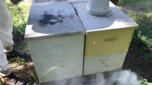 Обработка пчел Апигардом (гель на основе тимола) от клеща Варроа на пасеке Боба Бинни
