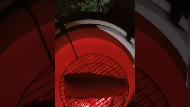 Новогодний "Запеченный сазан" в тандыре! Экспресс ужин, по-деревенски, на все случаи жизни! смотреть онлайн