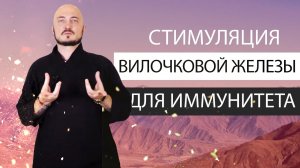 Стимуляция вилочковой  железы, отвечающей за иммунитет и регенерацию. К.Перо Академия Целителей.mp4