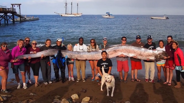 НЕВЕРОЯТНЫЕ предметы, найденные после цунами смотреть онлайн