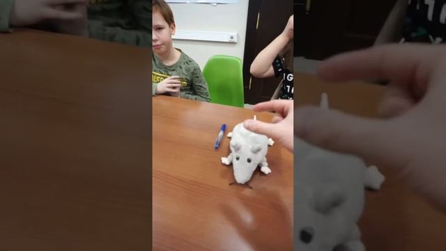 Лайфхак: как успокоить ученика #лайфхак смотреть онлайн