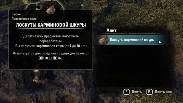 THE ELDER SCROLLS ONLINE • ИНСТРУКЦИЯ ДЛЯ НОВИЧКА