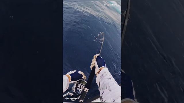 Big fish Indian Ocean. Fishing Sri Lanka. | Рыбалка в Индийском океане, Шри-Ланка #bigfish смотреть онлайн