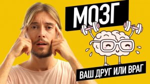 Мозг – ваш Друг или Враг? Григорий Киреев