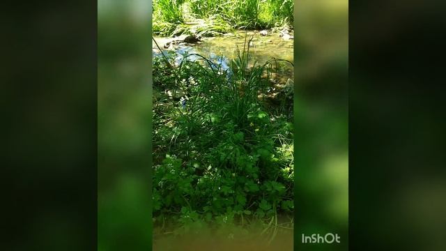 Растущая Луна с 1️⃣2️⃣ по 2️⃣6️⃣ Мая! смотреть онлайн