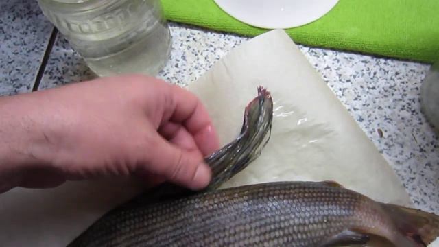 Хариус. А для кого-то может и сиг, может и карась... смотреть онлайн