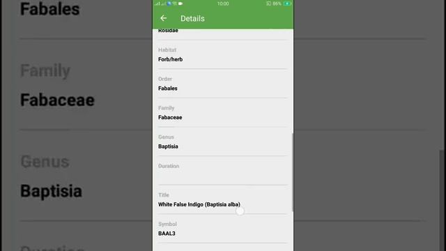 PlantSnap identifies a White False Indigo (Baptisia alba) смотреть онлайн