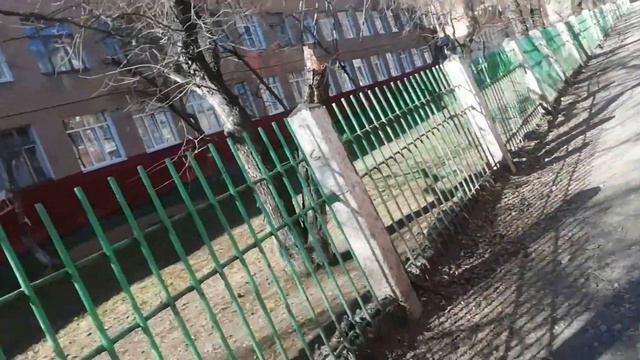Мой Кировский