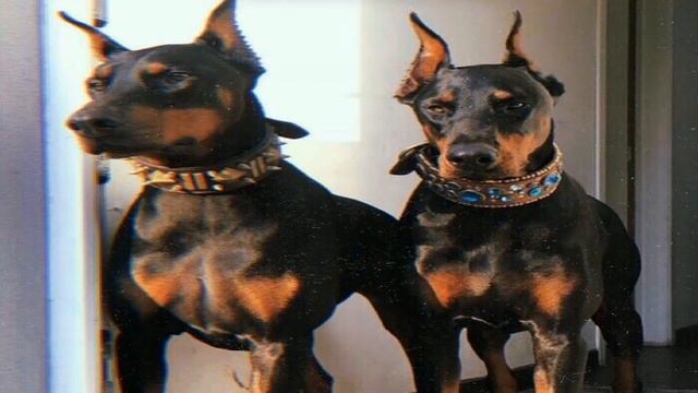 standoff 2,розыгрыш скинов смотреть онлайн