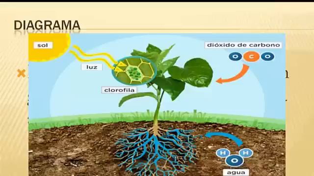 Estrategias de Aprendizaje | Ejemplos de Estrategias de Aprendizaje смотреть онлайн