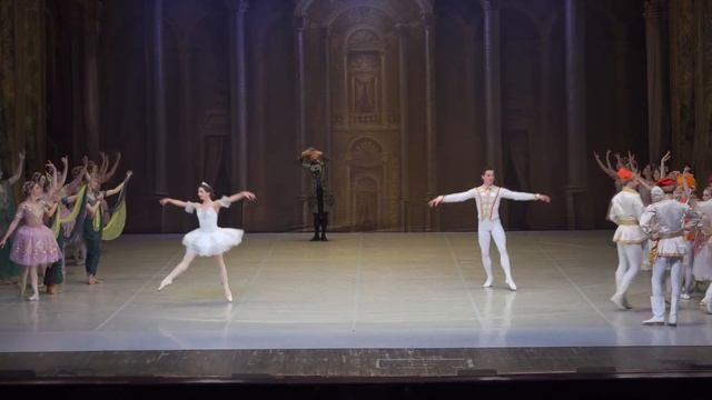 СКАЗОЧНЫЙ МИР БАЛЕТА | Fairy world of ballet. В роли сказочника — Д. Проценко (Театр Русский балет) смотреть онлайн