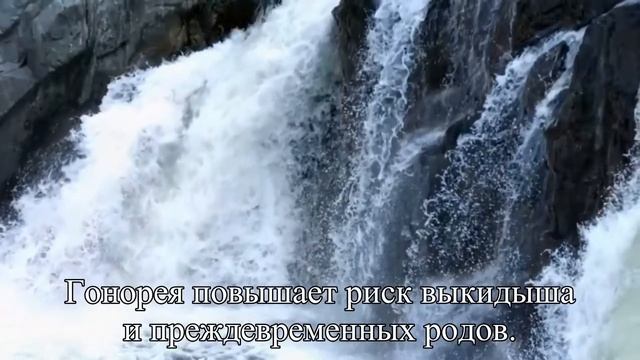 Гонорея и беременность Как защититься — Статья смотреть онлайн