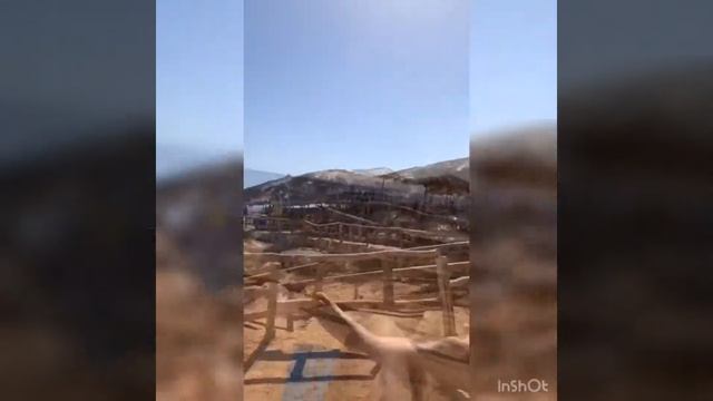 Шарм-эль-Шейх отзыв про платный/бесплатный пляж «REEF BEACH» смотреть онлайн