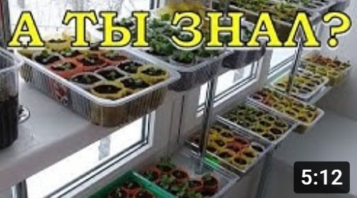 Как организовать досветку, если РАССАДУ некуда ставить?