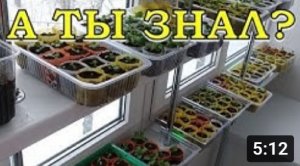 Как организовать досветку, если РАССАДУ некуда ставить?