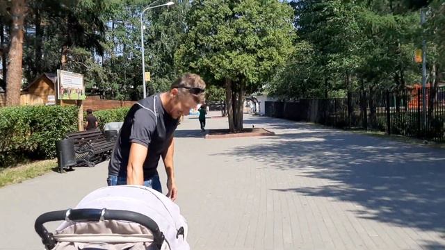 Контактный зоопарк или Сашина мечта о щуке смотреть онлайн