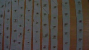 Как я сажала морковь в апреле ленточным методом наклейки семян на туалетную бумагу