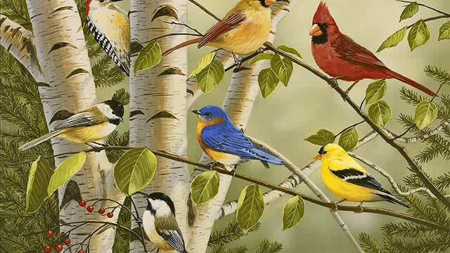 RELAXATION.WONDERFUL BIRDSONG.РЕЛАКСАЦИЯ. Чудесное пение птиц. смотреть онлайн