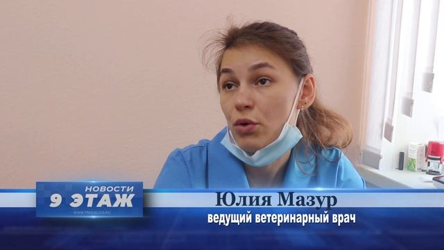 Братья наши меньшие. Как защитить, а иногда и спасти бездомных животных в холодное время года смотреть онлайн