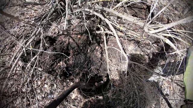 #МЕТАЛЛОКОП! копаю металолом !
металлодетектор MD4030! смотреть онлайн