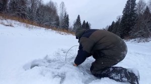 ЗДОРОВЕННЫЕ РЫБИНЫ ГНУЛИ. Рыбалка на Косынки