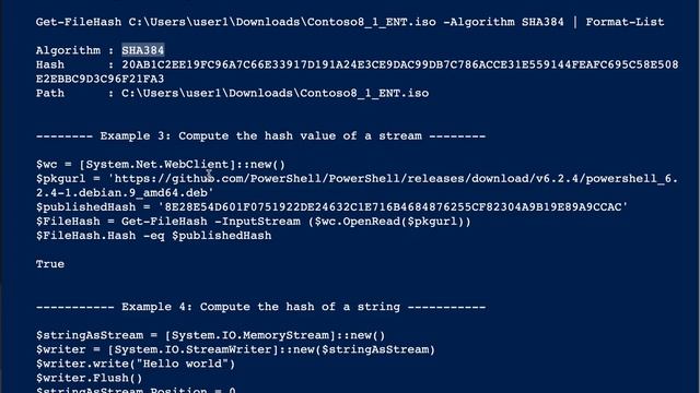 Powershell check the integrity of a file using filehash смотреть онлайн