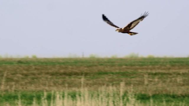 Казахстан природа смотреть онлайн