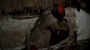 Е. Ваенга и Тихий Дон