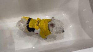 влог: ЗАКРЫЛА ДОЧЕК НА КРОВАТИ И УБИРАЮ КВАРТИРУ | ЗАБЫЛА ПРО БИЛЬКУ