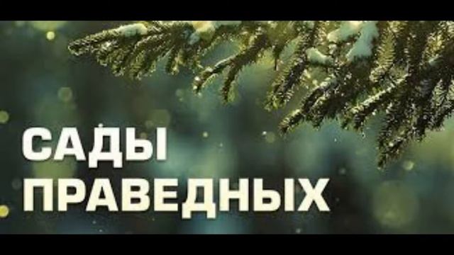 САДЫ ПРАВЕДНЫХ ЧАСТЬ N1 смотреть онлайн