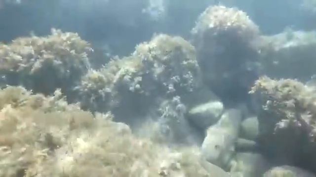 Головинские рифы смотреть онлайн