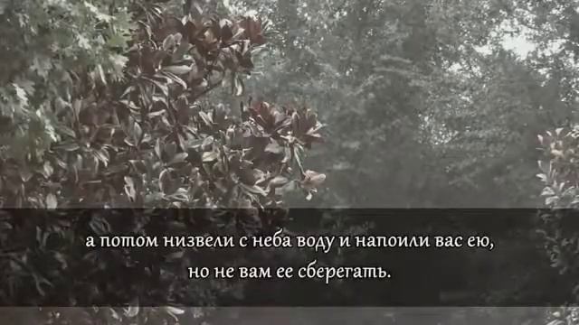 Слушай Коран успокаивает сердце смотреть онлайн