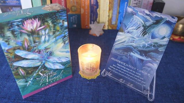 เปิดกล่องไพ่ Flip Through "Spirit Of the Animals Oracle" By Jody Bergsma смотреть онлайн