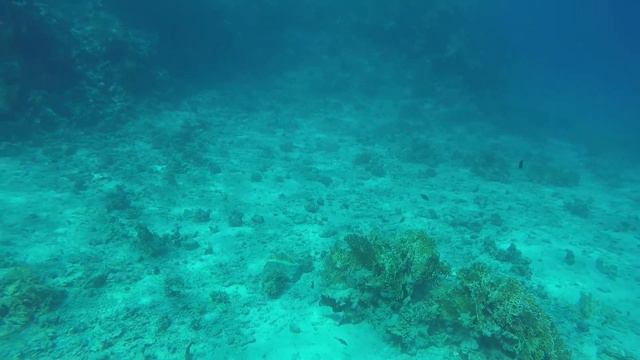Красное море, экскурсионный дайвинг, 04.2019 смотреть онлайн