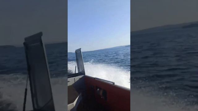 Прокатиться с ветерок по реке Ангаре 🌬️🚣🌅#уи #река #ангара #сибирь #лето смотреть онлайн