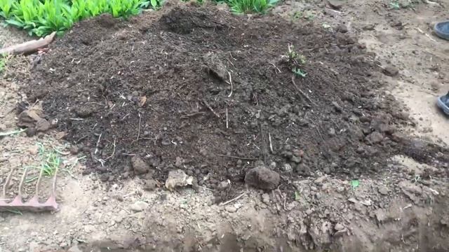 Виноград весной. Посадка. Беседка. смотреть онлайн