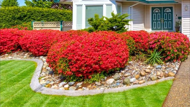 56+ Landscaping Ideas for Your Front Yard смотреть онлайн