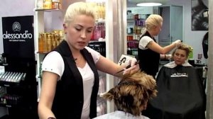 Окрашивание красителем INOA