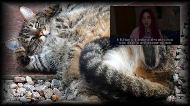 У Муны (Moona) умер папа – труп на лестнице, кроссовки по всему подъезду (обзор видео АСМР-щицы)