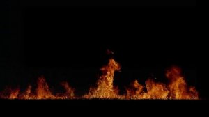 Fire Flame on Black Background