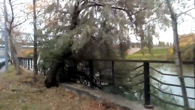 Москва 955 Курьяновская набережная, Сабуровские ж/д мосты Курского направления осень день смотреть онлайн