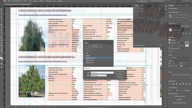 Workflow. InDesign.ТЭГИ и Экспорт в Xml